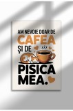 Unframed Cat Quote Canvas Poster in Romanian - Digital Print - Cafea Si Pisica Mea | A3 (29.7 x 42 cm)