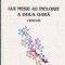 Iar Merii au Inflorit a Doua Oara - Versuri (Aurel Rotaru)