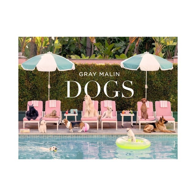 Gray Malin: Dogs