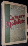 CAMERE MOBILATE roman, Damian Stanoiu