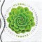 S.U.A. (16) - Green Succulent, 2017 - obliterat