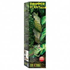 Exo Terra Dripper Plant Large - planta de terariu foto