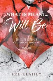 What Is Meant... Will Be: The Life &amp; Times of Shawne Thomas - Volume III