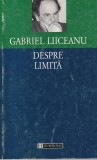 Gabriel Liiceanu - Despre limita