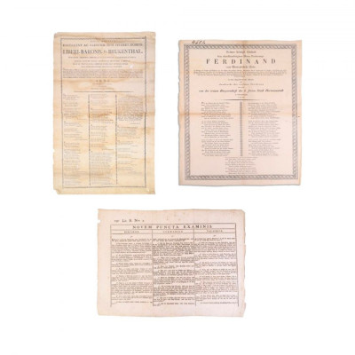 Colecție de 3 documente, poem funebru, examen cu nouă &amp;icirc;ntrebări din domeniul juridic, panegiric, 1790-1838 - D foto