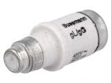 Siguranță Rapidă 20A 400V 250V D02, BUSSMANN