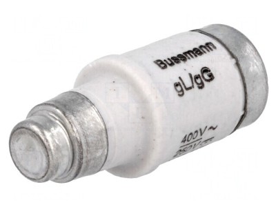 Siguranță Rapidă 20A 400V 250V D02 foto