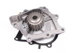 HEPU P807 Pompă de apă, răcire motor