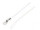 Senzor Temperatură Pt1000 Clasa B -20&divide;125&deg;C Cu Cablu
