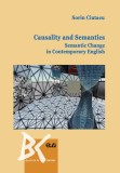 Causality and Semantics &ndash; Sorin Ciutacu
