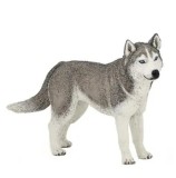 Figurina Papo Rase de caini si pisici - Husky siberian