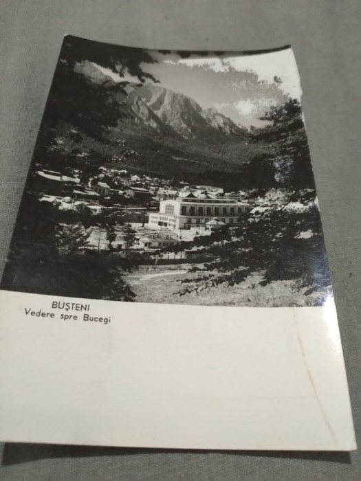 CARTE POSTALA BUSTENI CIRCULATA