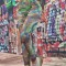 A805-100 Colanti cu talie inalta din material elastic si print abstract
