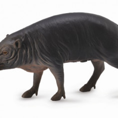 Porc Sulawesi Babirusa L - Animal figurina