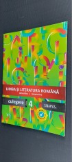 LIMBA SI LITERATURA ROMANA CLASA A IV A CULEGERE ADINA MICU SIMONA BRIE SINAPSIS