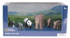 Set 6 figurine - Elefantul si puii, Maimuta, Raton, Urs Panda foto