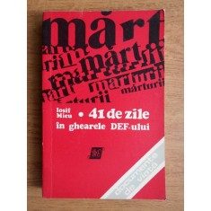 Iosif Micu - 41 de zile in ghearele DEF-ului