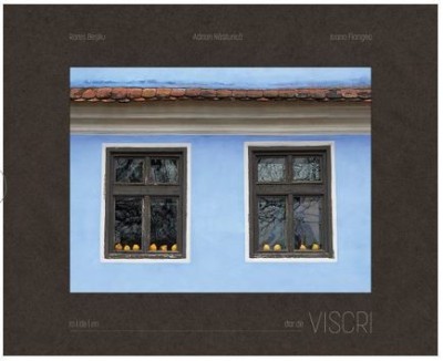 Dor de Viscri foto