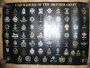 Afis cu Insigne de Sapca Militara ale Armatei Britanice ,dim.= 84x60cm