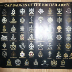 Afis cu Insigne de Sapca Militara ale Armatei Britanice ,dim.= 84x60cm