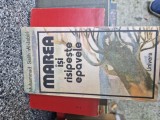 Marea &icirc;și risipește epavele vintage
