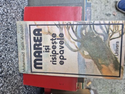 Marea &amp;icirc;și risipește epavele vintage foto