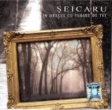 CD Vasile Șeicaru - &Icirc;n Orașul Cu Floare De Tei (Original, 2009) MediaPro Music