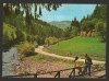 CPIB 19314 CARTE POSTALA - VALEA ARIESULUI, Necirculata, Fotografie