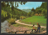 CPIB 19314 CARTE POSTALA - VALEA ARIESULUI, Necirculata, Fotografie