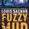 Fuzzy Mud