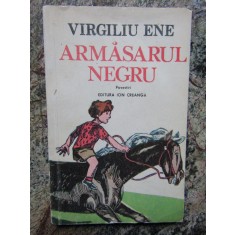 Armasarul negru - Virgiliu Ene