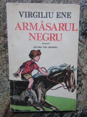 Armasarul negru - Virgiliu Ene foto