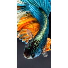 Husa Personalizata HTC U12 Plus Fish