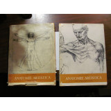 CY - Prof. Gh. GHITESCU &quot;Anatomie Artistica&quot; / Vol. I + II / se vand si separat