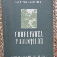 CORECTAREA TORENTILOR - STELIAN MUNTEANU