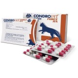 Condrovet Force HA pisica, 1 cp(*45 cp/flacon), Bioiberica