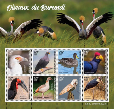 BURUNDI 2023 FAUNA PASARI foto