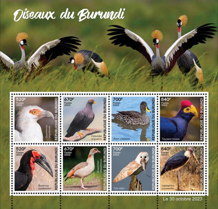 BURUNDI 2023 FAUNA PASARI