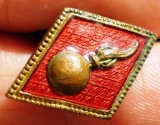 I.868 PIESA MILITARA BUTON
