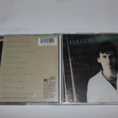 [CDA] David Diggs - Tell me again - cd audio original