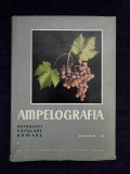 Ampelografia Republicii Populare Romane, vol. 6