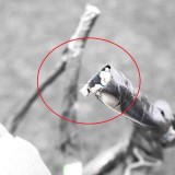 Panou Sigurante Nissan Qashqai II J11 2016 OEM 4EB0A Yato Set Sigurante 12V 1-24 buc