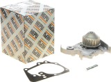 Pompa Apa Renault Clio II Megane I Symbol Kangoo 1.4 1.6 8v Benzina Hepu Germania