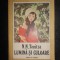 N. N. Tonitza - Lumina si culoare