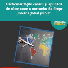 Particularitățile creării și aplicării de către state a normelor de drept internațional public- Dumitrița Florea