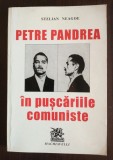 Stelian Neagoe - Petre Pandrea &icirc;n pușcăriile comuniste