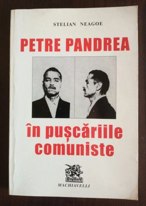 Stelian Neagoe - Petre Pandrea &icirc;n pușcăriile comuniste