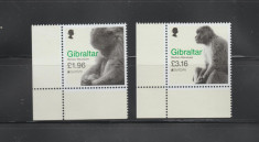 GIBRALTAR 2021 EUROPA CEPT - Serie 2 timbre MNH** foto