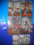 HOPCT LOT NR 409 CAI LIPITZANI AUSTRIA -FAUNA -5 CARTI POSTALE-CIRCULATE