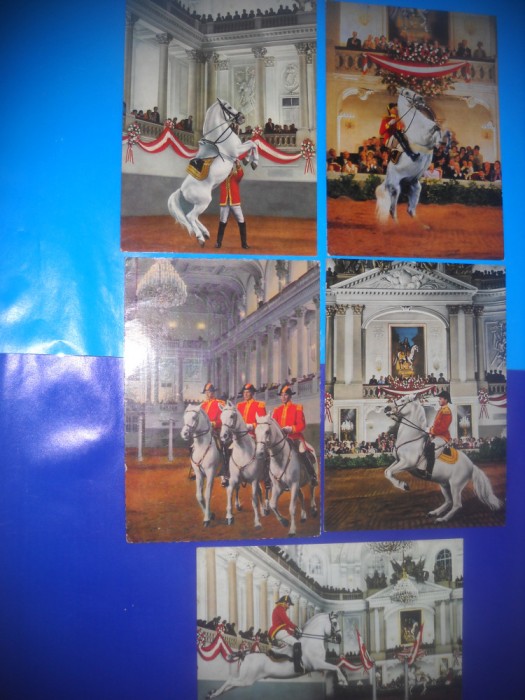HOPCT LOT NR 409 CAI LIPITZANI AUSTRIA -FAUNA -5 CARTI POSTALE-CIRCULATE